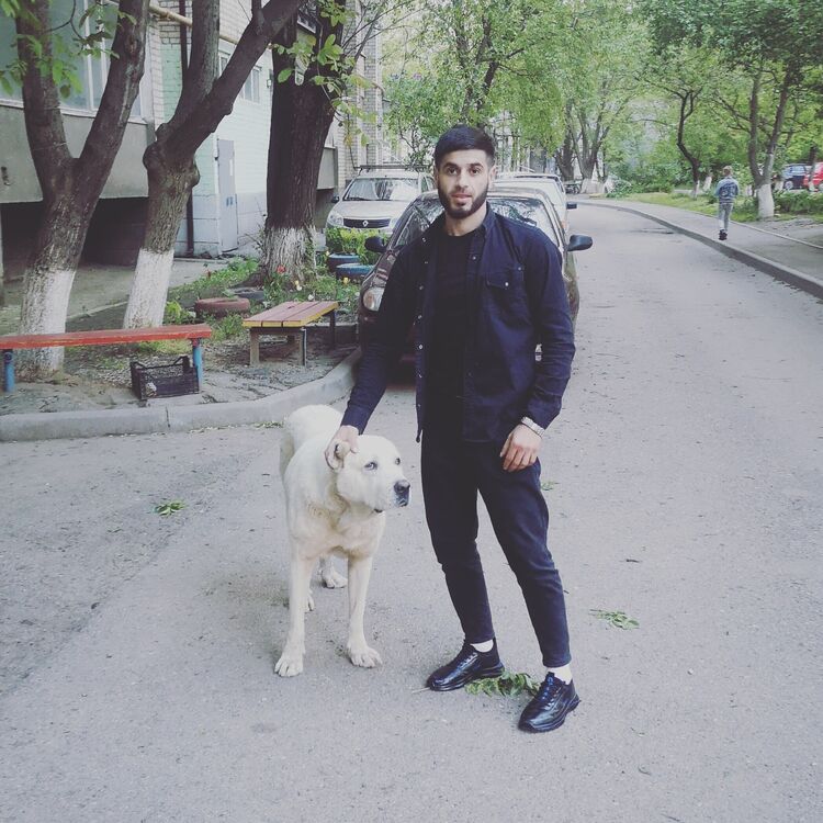  ,   Aslan, 31 ,   ,   