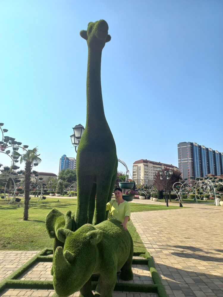 ���������� ���������, ���� ������� ������, 46 ���, ������������ ��� ����� � ���������, c�������� ���������