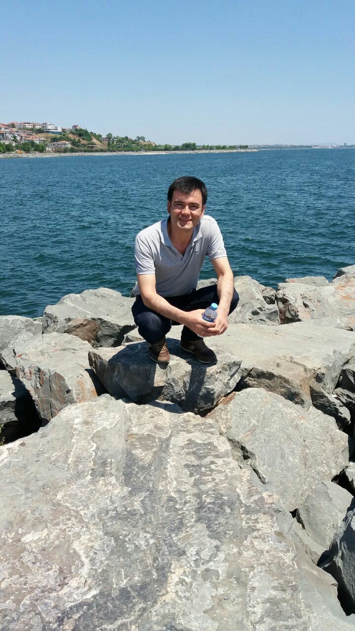  33199527  , 43 ,    -