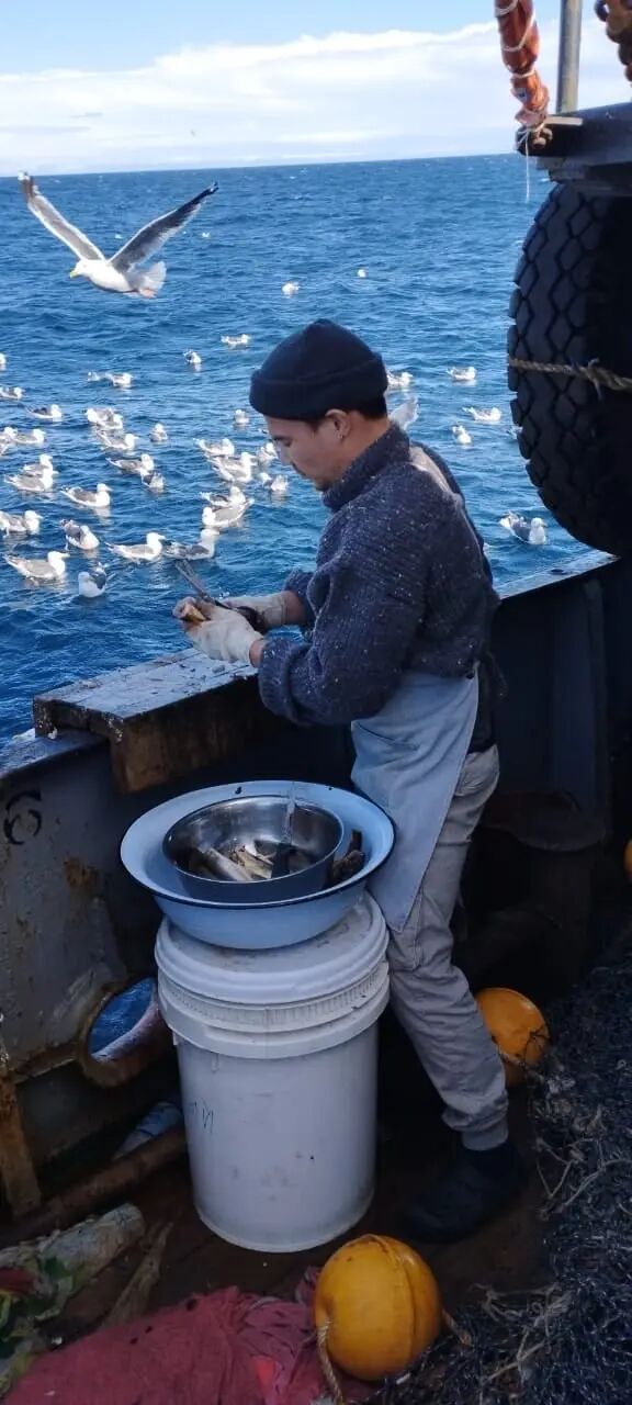 ���������� �����������, ���� ������� ����, 28 ���, ������������ ��� ������, ����� � ���������