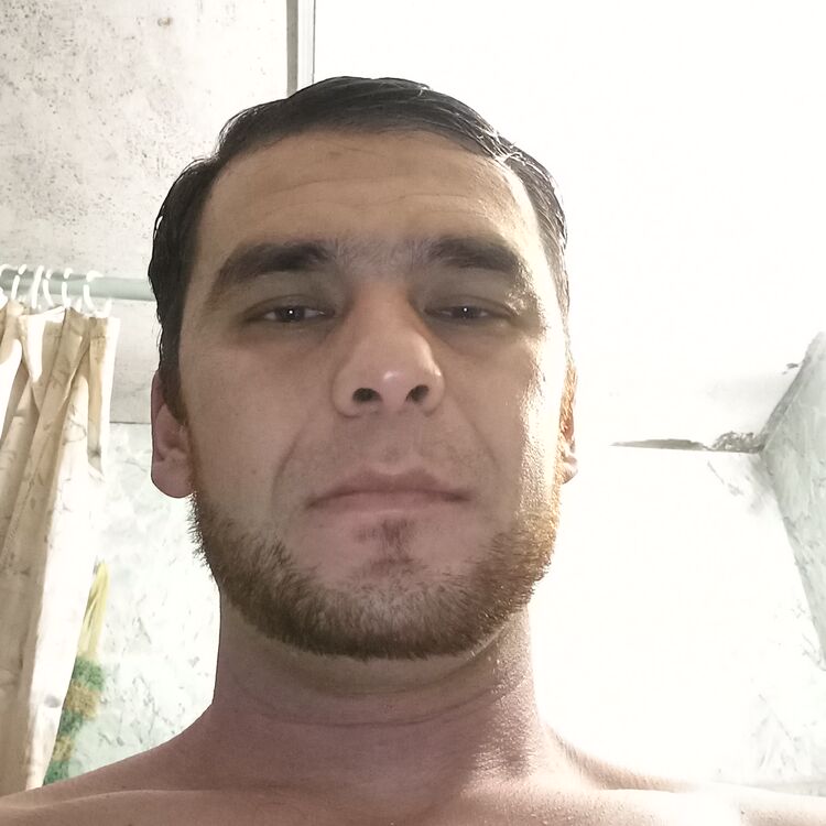 ���� 24969777 ������� SH QAHOROV, 40 ���, ���� ���������� � ������