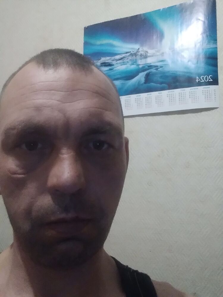 ���� 41039377 ������� ����, 41 ���, ���� ���������� � ���