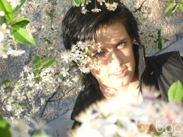 ���������� ������, ���� ������� ������, 38 ���, ������������ ��� ������