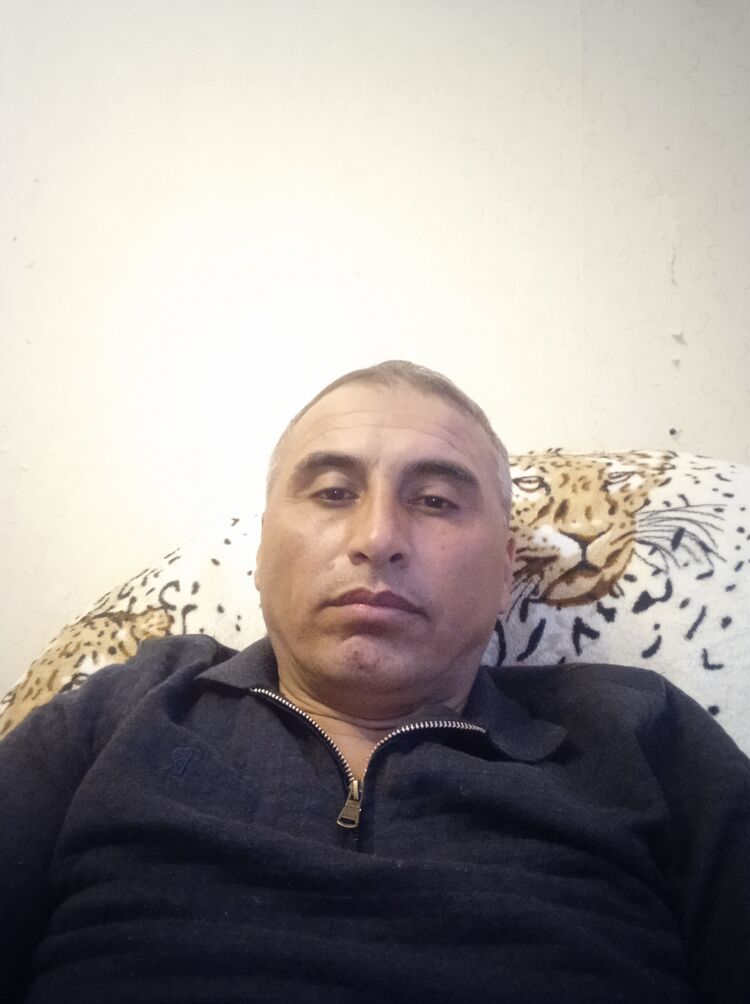  33662027  , 46 ,    