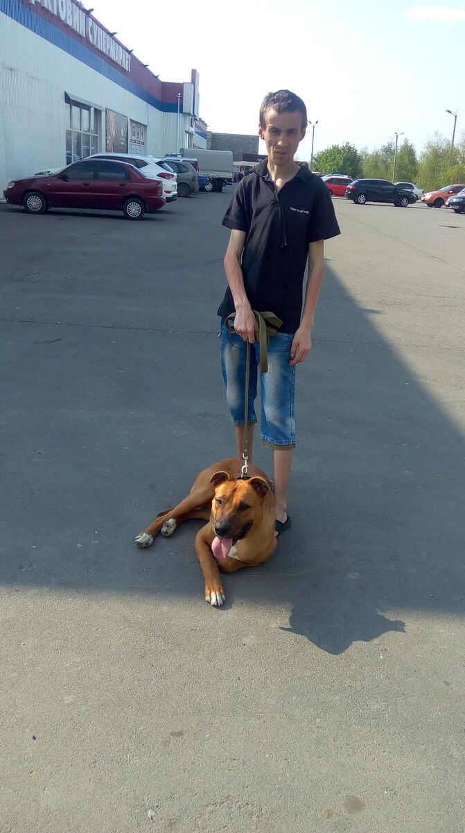  ,   Mihail, 29 ,   ,   , c 