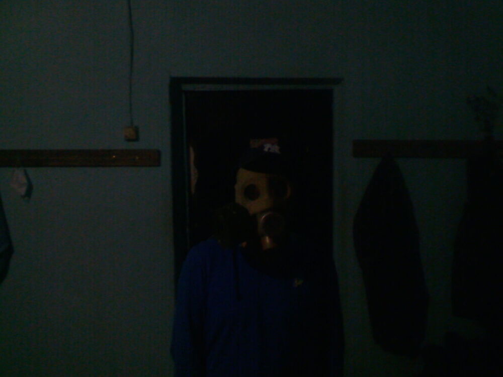  6871107  Festeval, 38 ,    