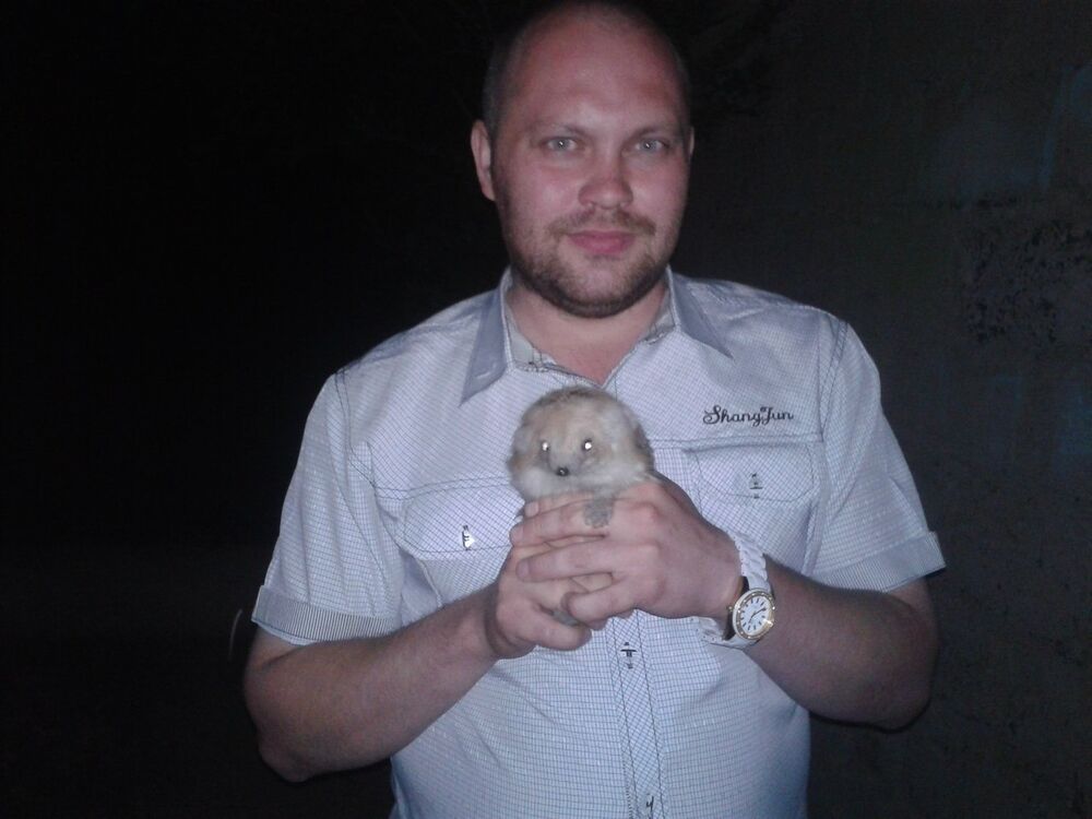 ���������� ����, ���� ������� �����, 41 ���, ������������ ��� c�������� ���������