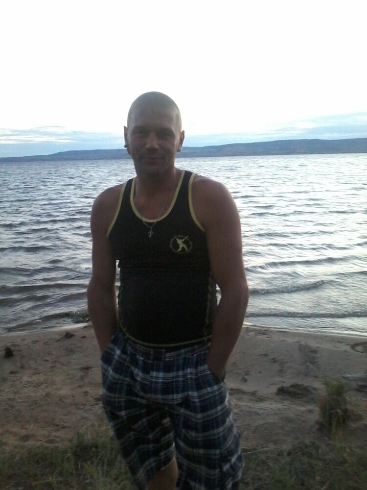  33035797  , 43 ,    