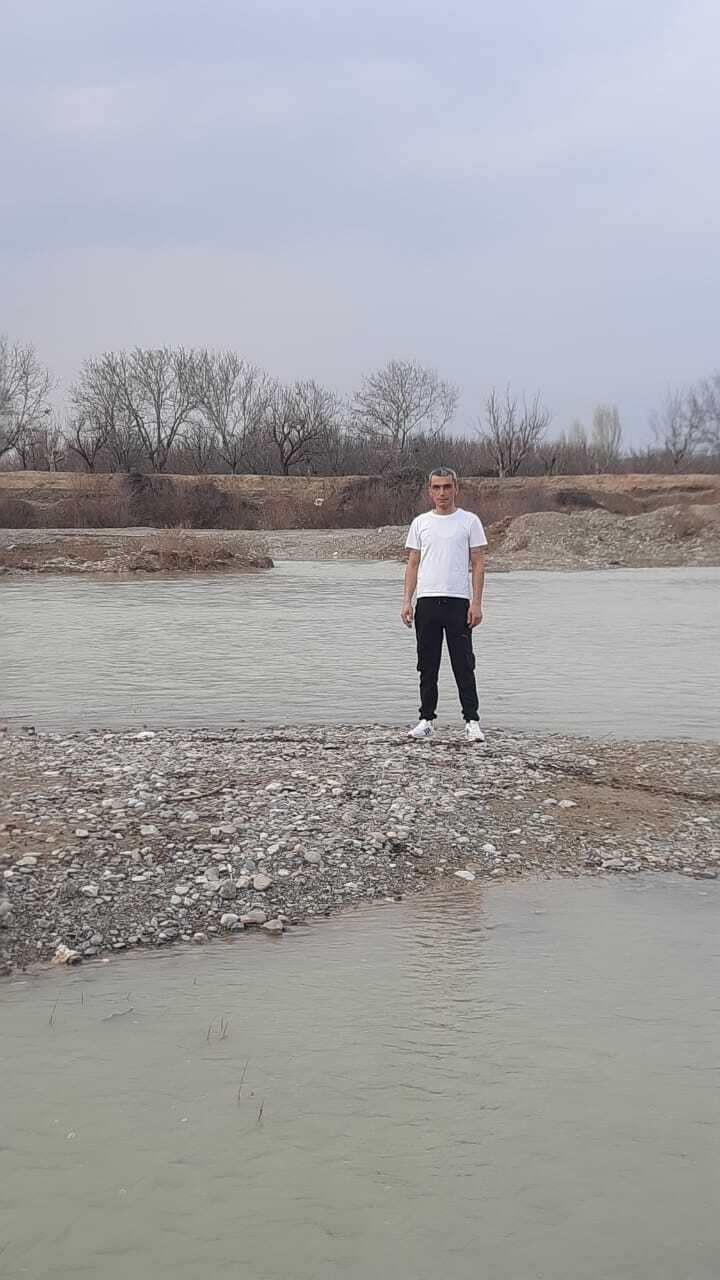  34688087  , 29 ,    