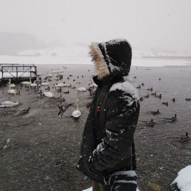 ���������� ������, ���� ������� Harry, 36 ���, ������������ ��� ������, ����� � ���������