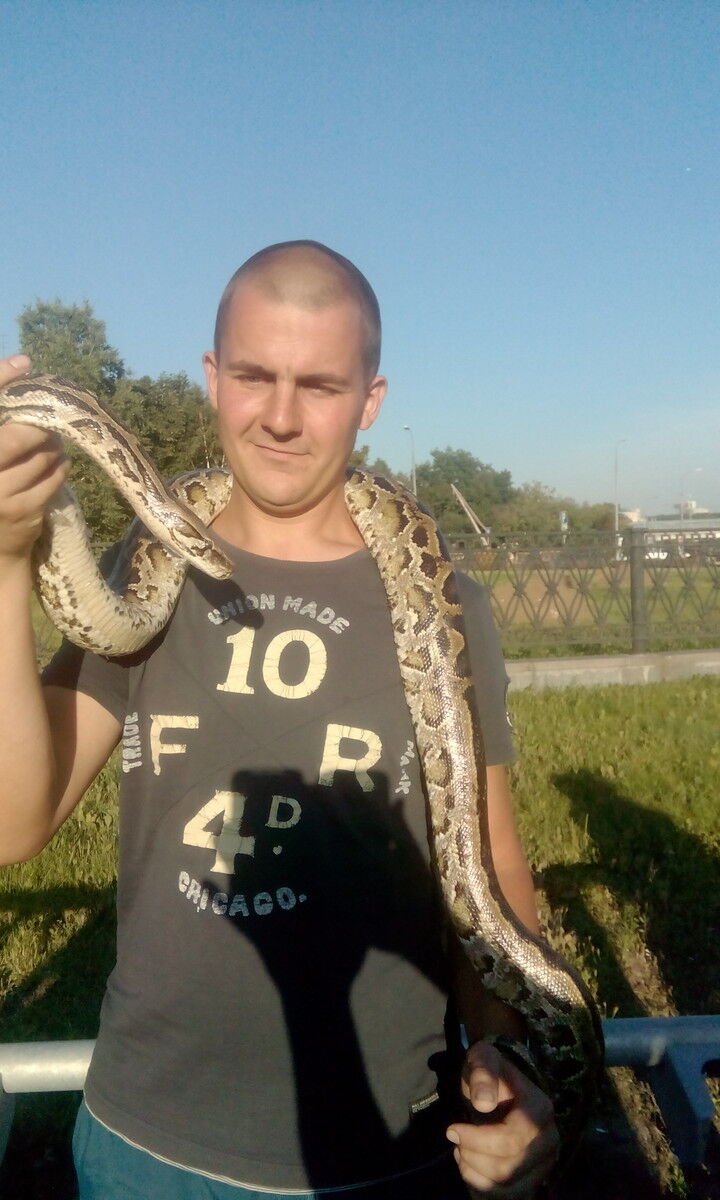 ���������� ������, ���� ������� �������, 40 ���, ������������ ��� ������