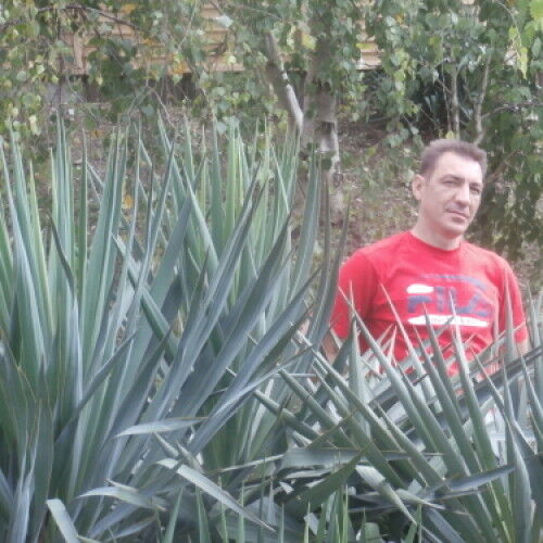 ���� 6672067 ������� ���������, 56 ���, ���� ���������� � ������