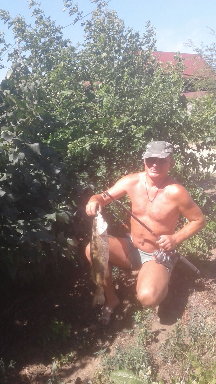  31229357  , 54 ,    