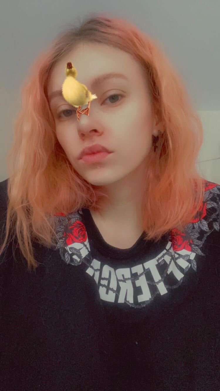 ���������� ������, ���� ������� �����, 24 ����, ������������ ��� ������, ����� � ���������