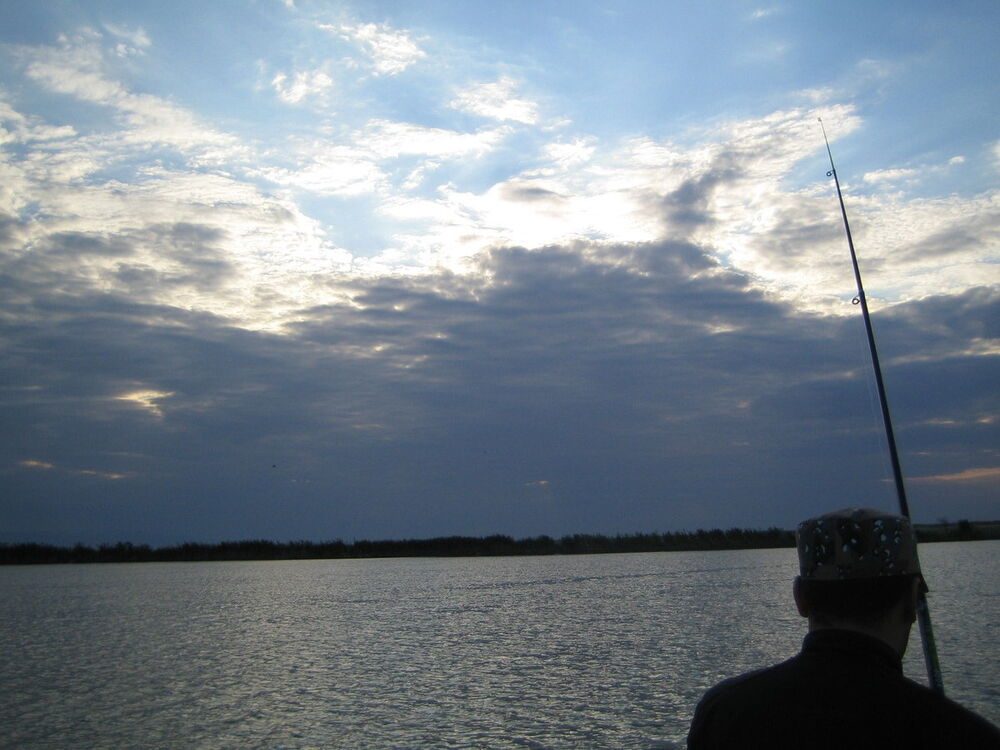 ���� 7013447 ������� Batyr, 47 ���, ���� ���������� � ������