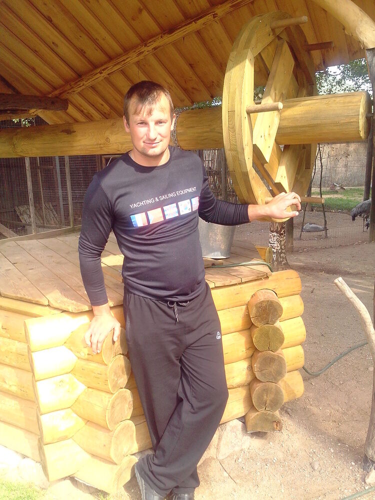  8295647  , 41 ,    -