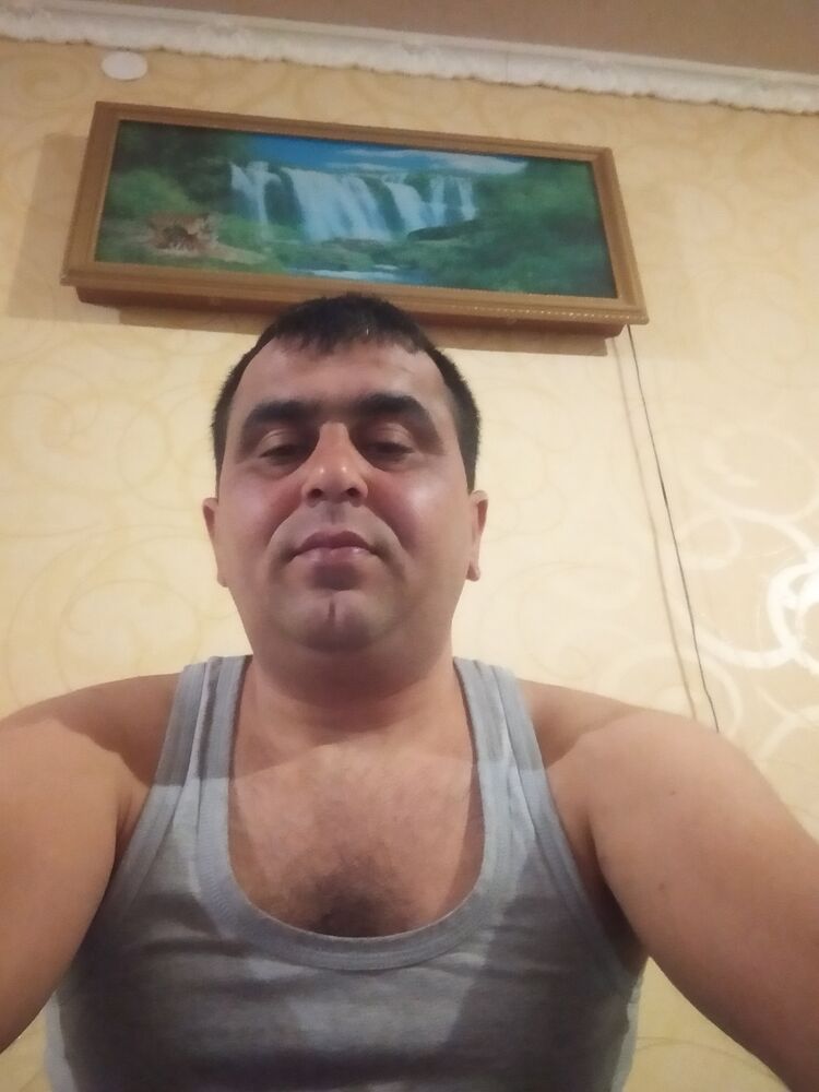  49933267  , 43 ,    