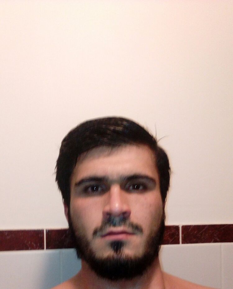 ���� 8557197 ������� ����, 33 ����, ���� ���������� � ������������