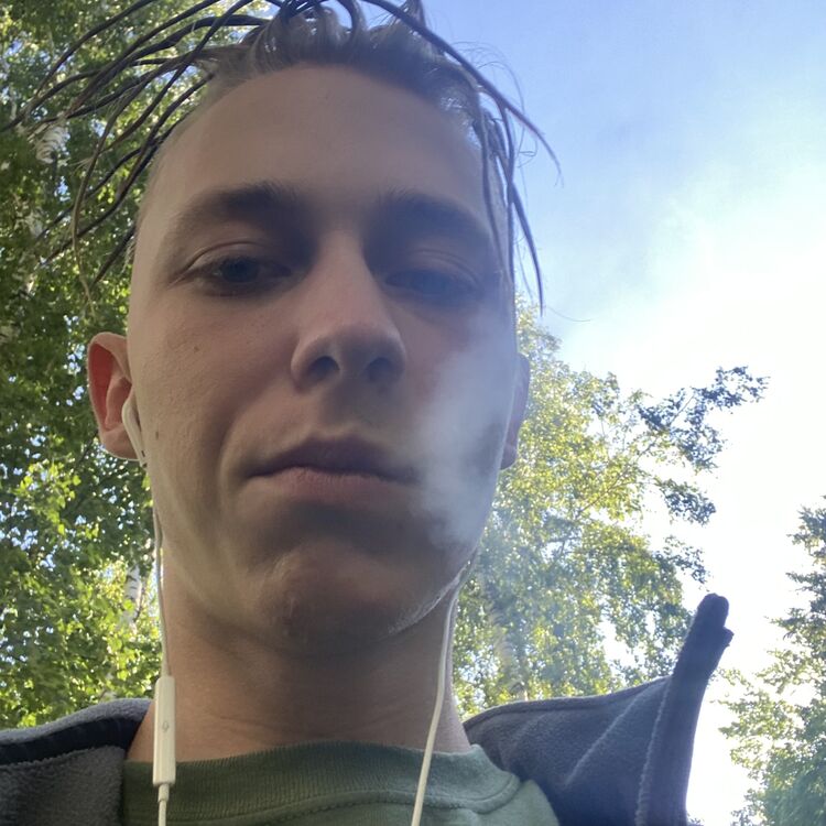  44311467  , 21 ,    