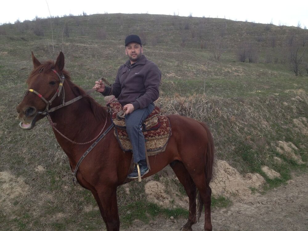 ���� 4151587 ������� ��������, 44 ����, ���� ���������� � ������