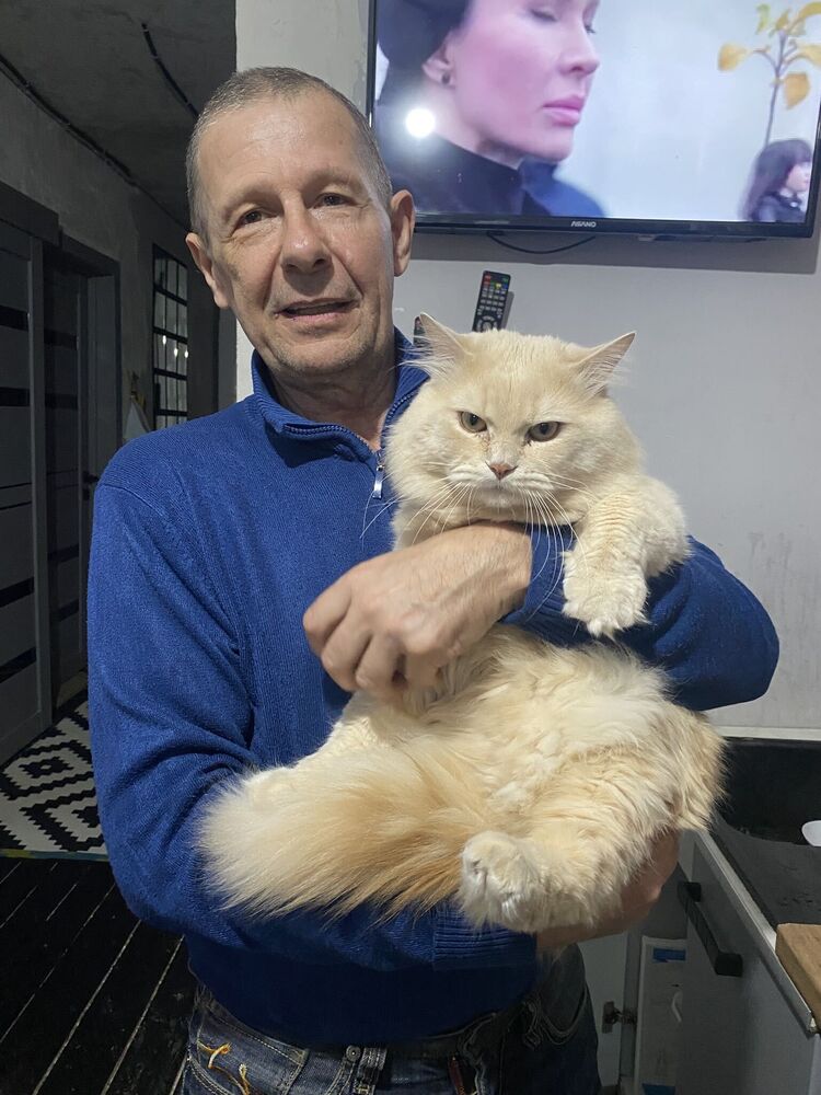 ���� 53269487 ������� �����, 66 ���, ���� ���������� � ����������