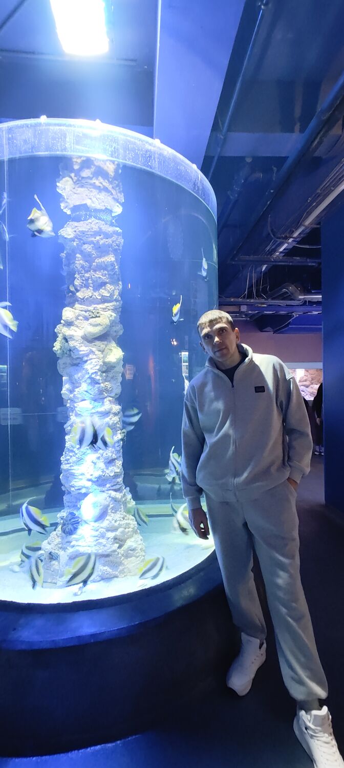 ���� 55209027 ������� ����������, 43 ����, ���� ���������� � ������