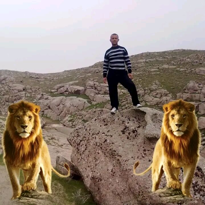 ���������� �����-���������, ���� ������� �������, 48 ���, ������������ ��� ������, ����� � ���������