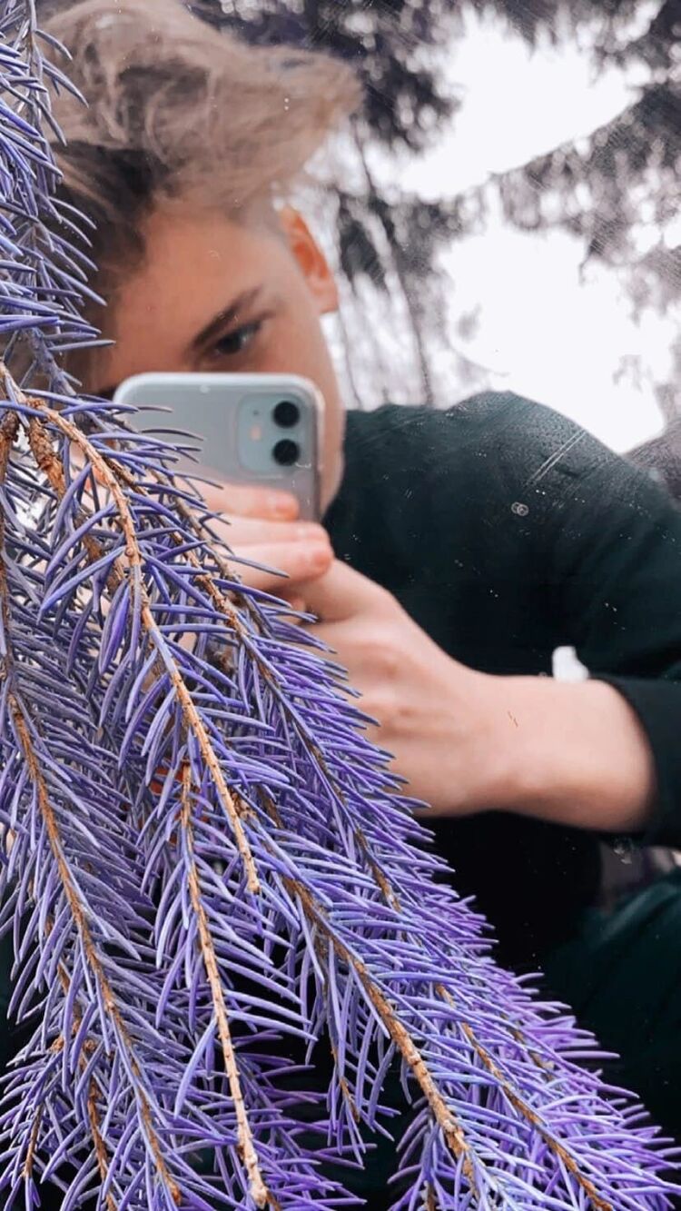  27544247  , 21 ,    -