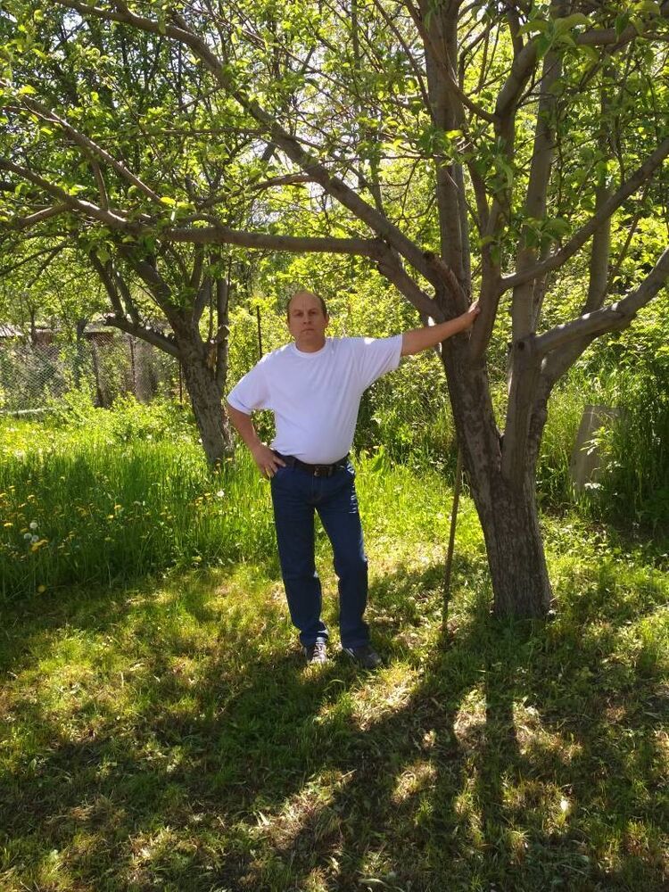  ,   , 56 ,  