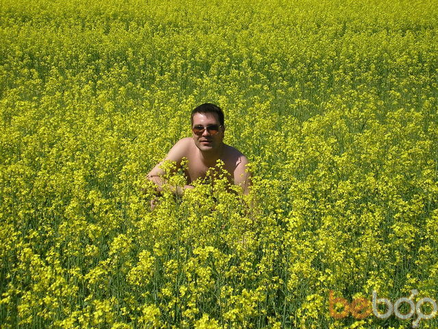 ���������� �����, ���� ������� NIKNIK, 50 ���, ������������ ��� ������, ����� � ���������, c�������� ���������, ���������