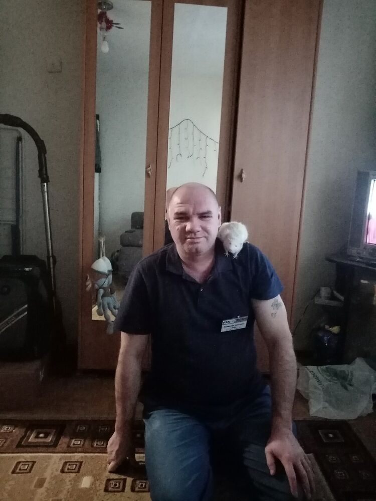 ���������� ������, ���� ������� ����, 47 ���, ������������ ��� ������, ����� � ���������, c�������� ���������, ���������