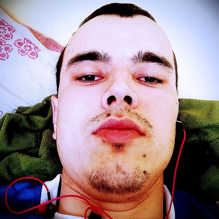 ���� 43136677 ����� �����, 24 ����, ���� ���������� � ���