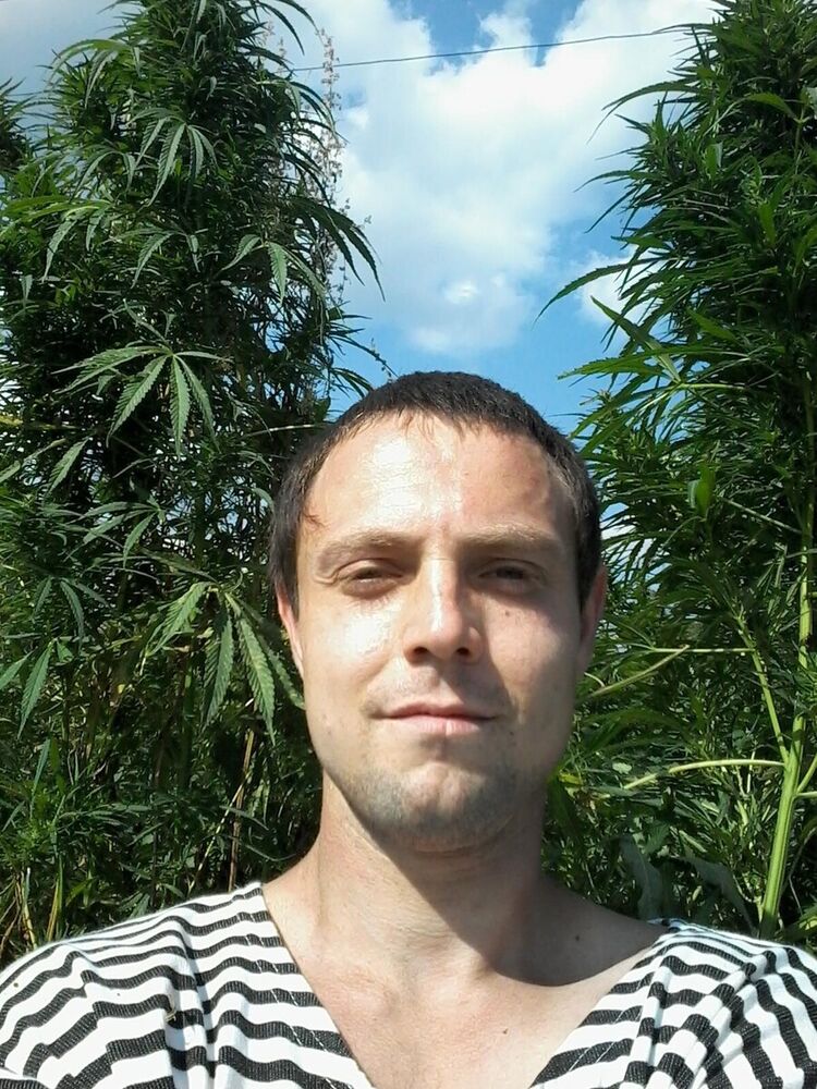  20477647  , 32 ,    