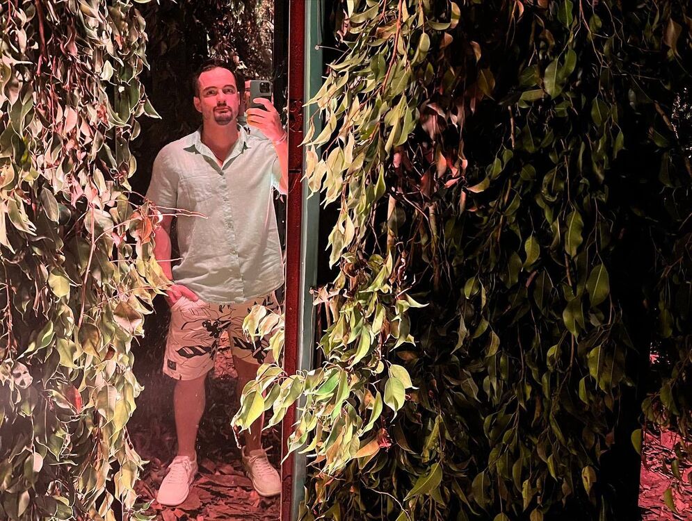 ���������� ���������, ���� ������� ���������, 36 ���, ������������ ��� ����� � ���������, c�������� ���������, ���������