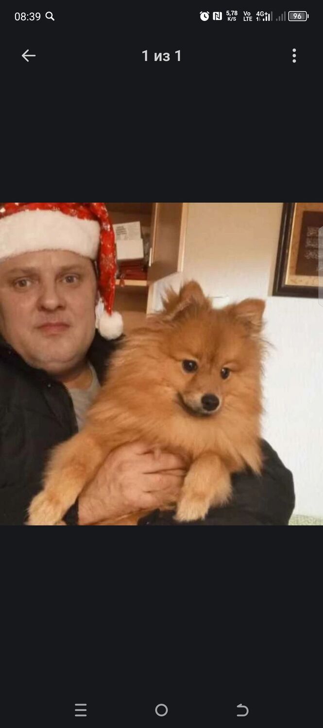 ���� 55707457 ������� ����, 47 ���, ���� ���������� � �����-����������