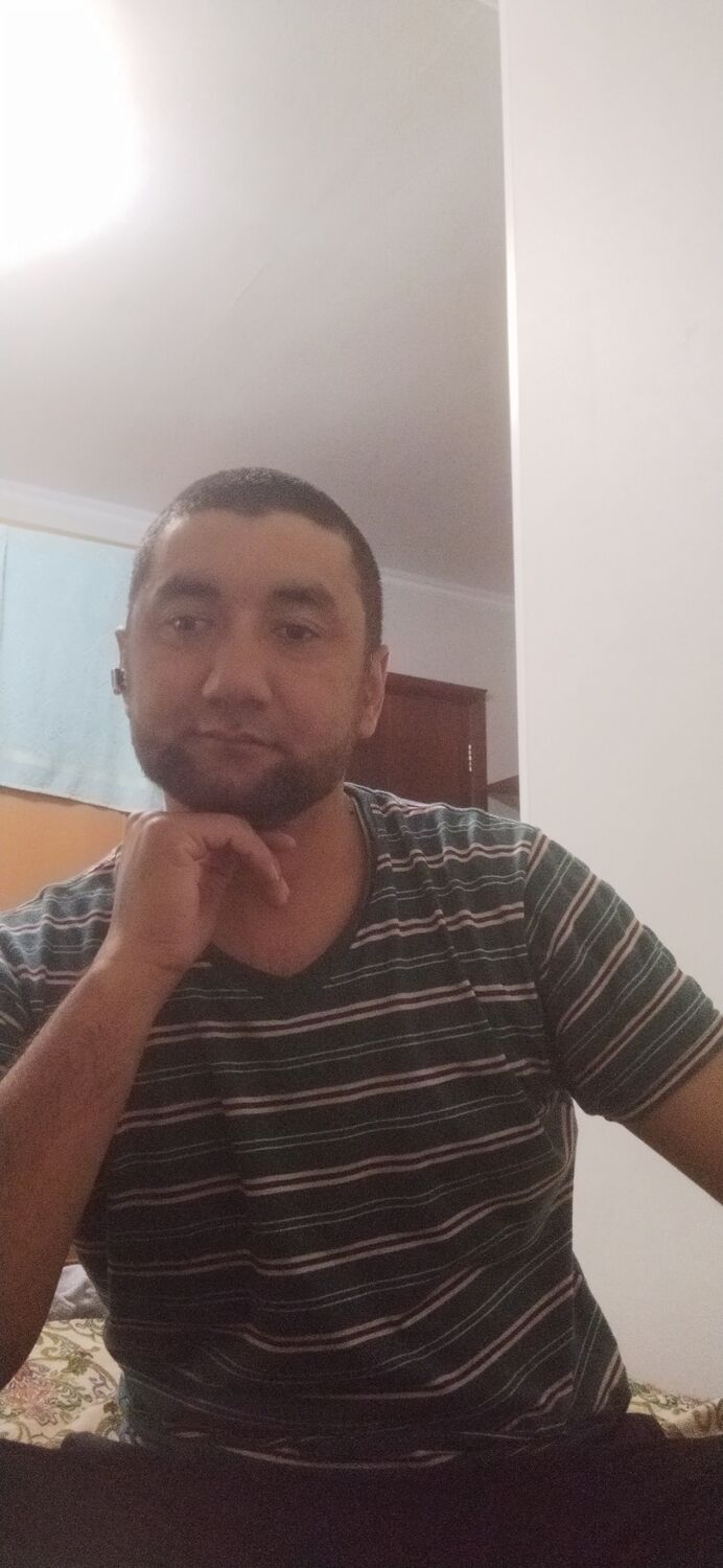  50881437  , 38 ,    -