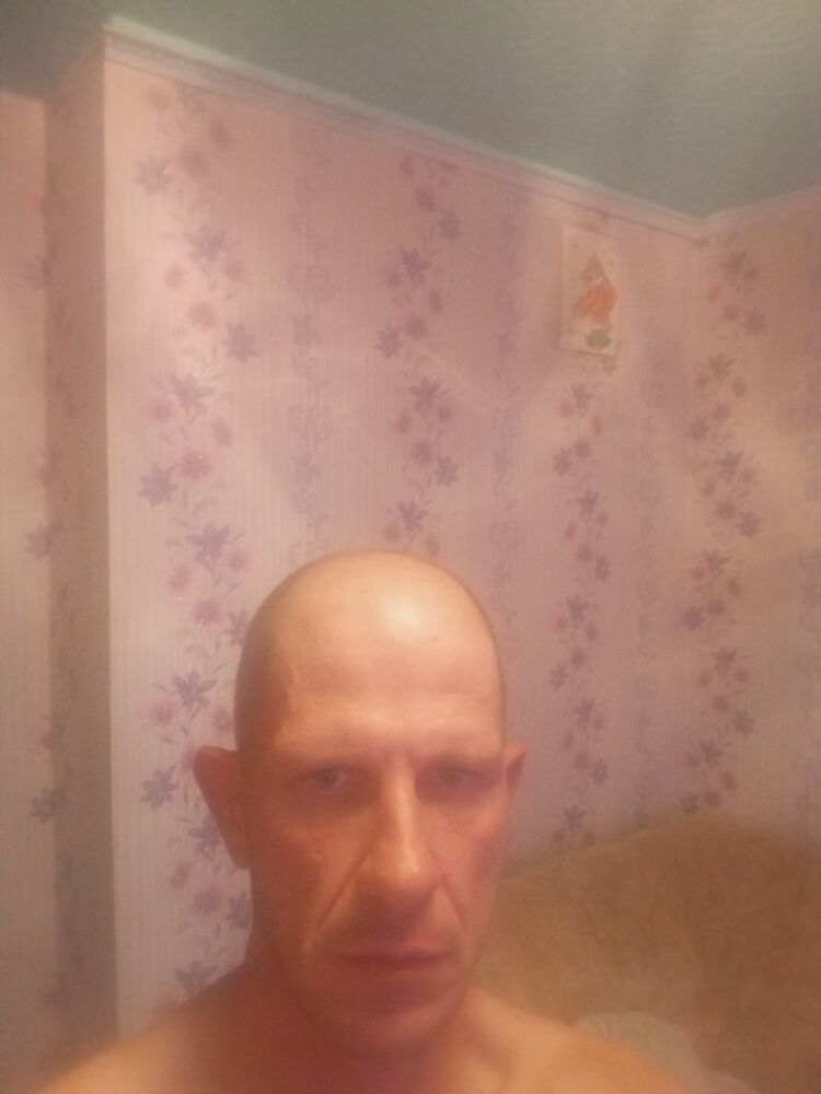  45491067  , 43 ,    