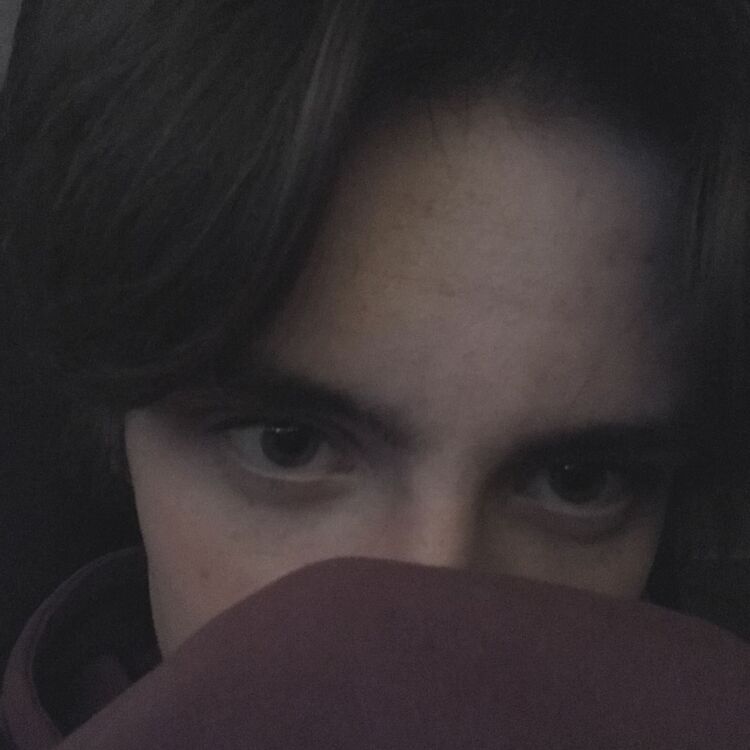 ���� 25451907 ����� �������, 23 ����, ���� ���������� � ������������