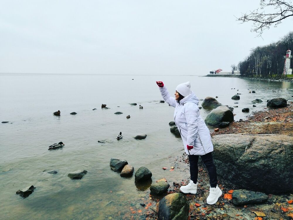  18085317  , 35 ,    -