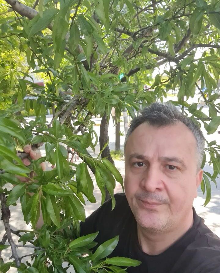  30833647  Darius, 61 ,    