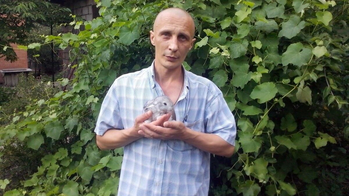  ,    , 49 ,   ,   , c 
