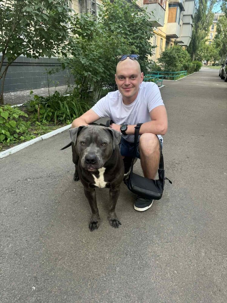 ���������� ����, ���� ������� ������, 36 ���, ������������ ��� ������, ����� � ���������, ���������