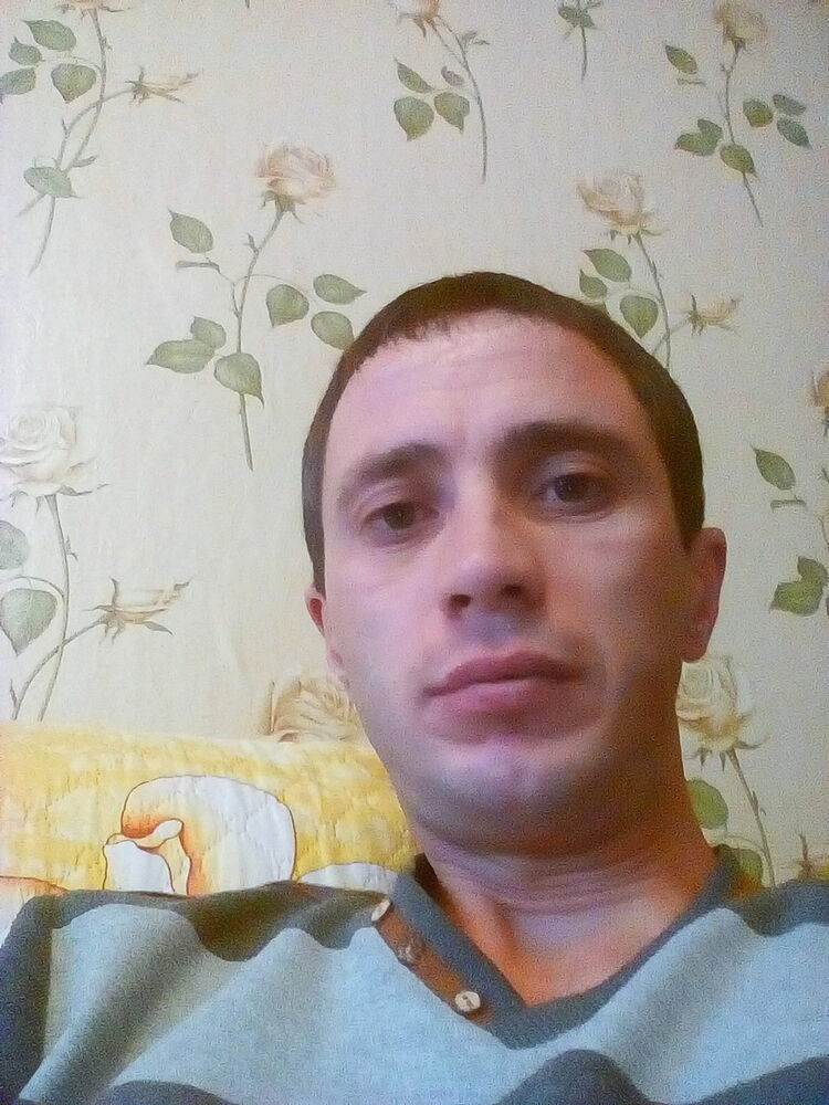  9101687  , 43 ,    