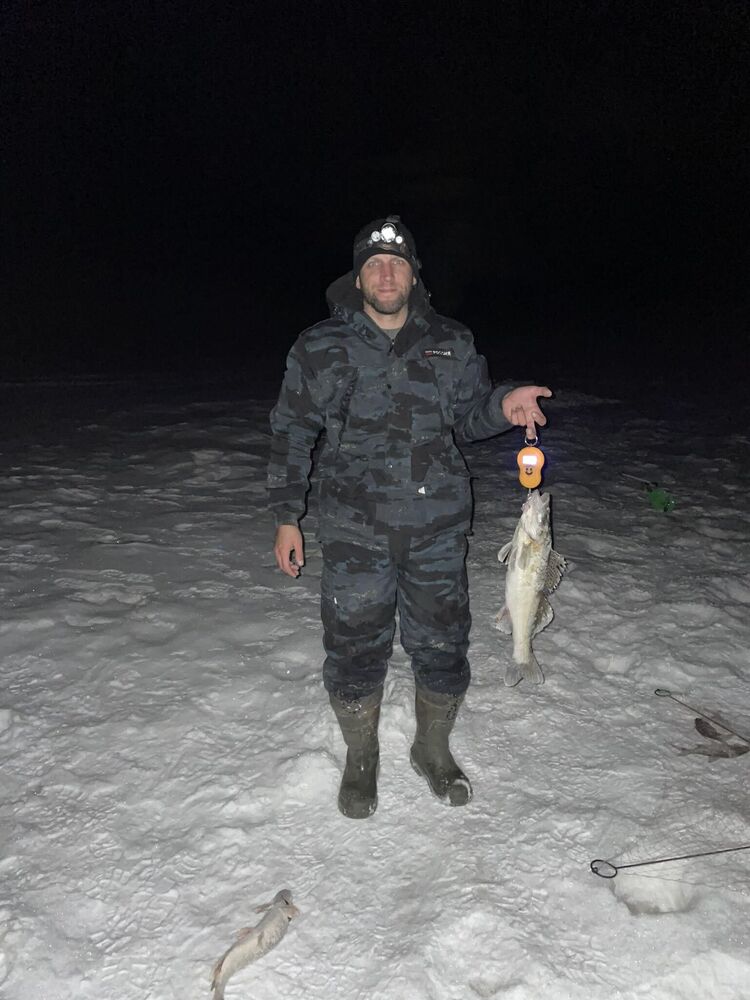 ���� 43018777 ������� �������, 32 ����, ���� ���������� � ������