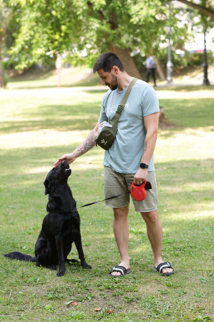 ���� 37301727 ������� ���������, 31 ���, ���� ���������� � �����-����������