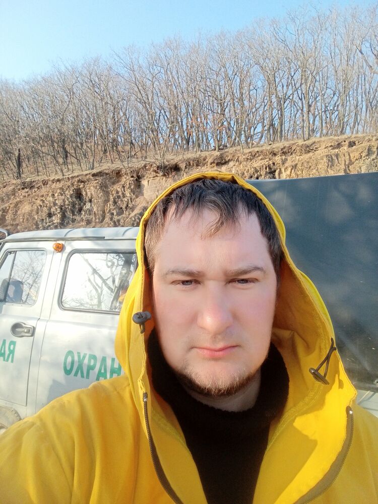  43403797  , 31 ,    