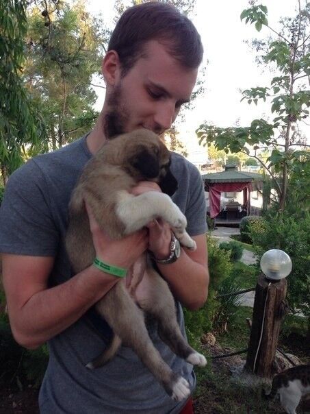 ���������� ������, ���� ������� Sergeserge3, 33 ����, ������������ ��� ������, ����� � ���������, c�������� ���������