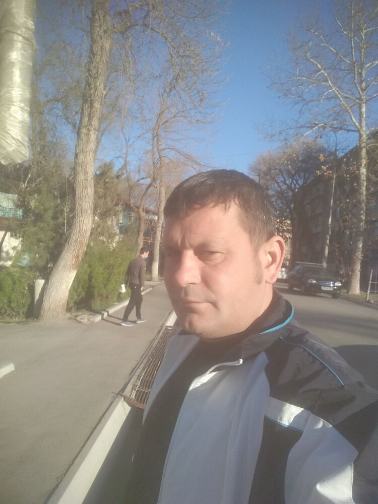  34016617  , 41 ,    