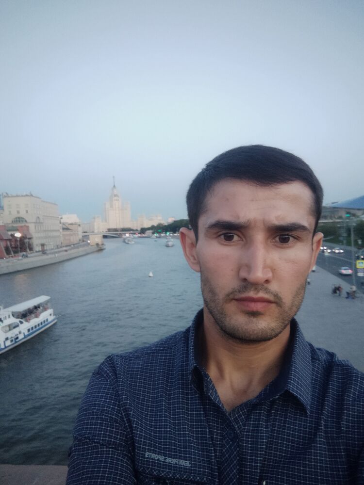 ���� 24908007 ������� Shak, 33 ����, ���� ���������� � �������