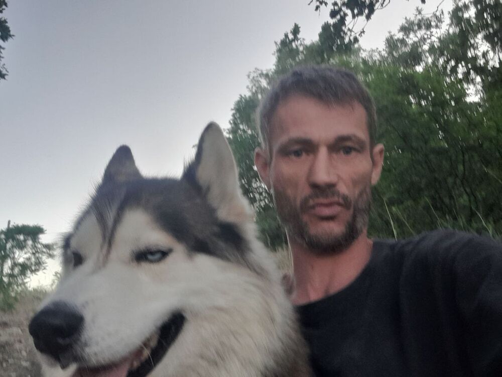  ,   , 43 ,   ,   